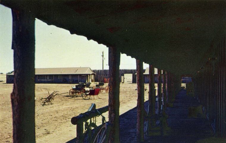 AZ006300.jpg