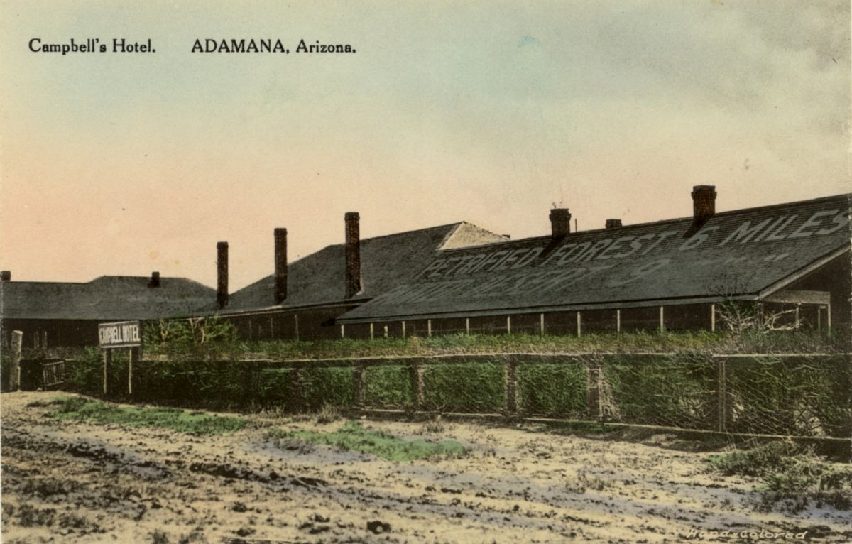 AZ009100.jpg