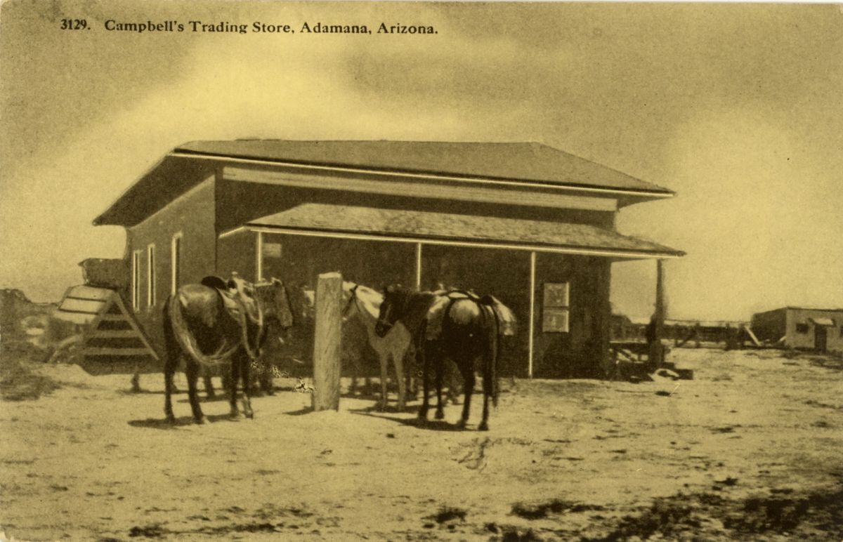 AZ009130.jpg