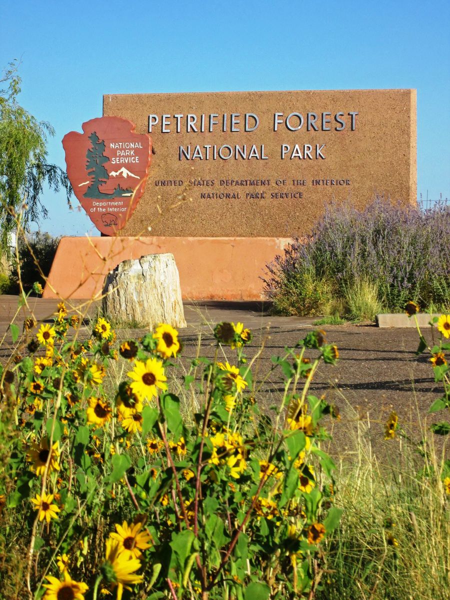 AZ009305.jpg