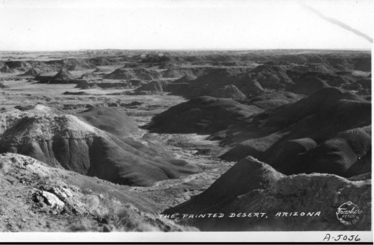 AZ011900.jpg