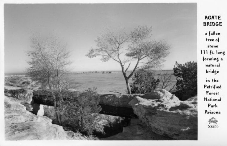 AZ013000.jpg