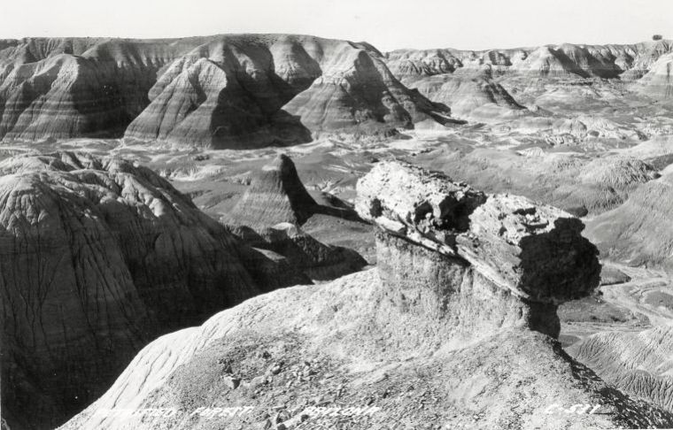 AZ013100.jpg