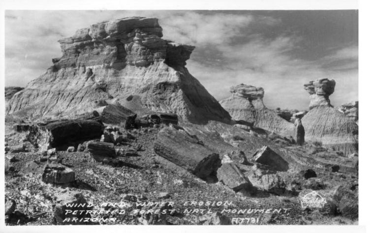 AZ013200.jpg