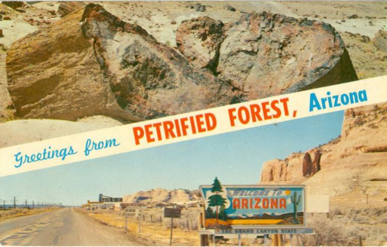 AZ013700.jpg