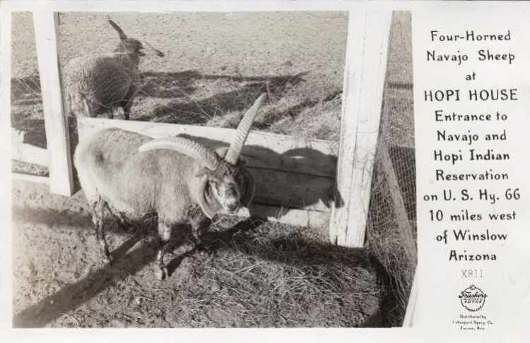 AZ035160.jpg
