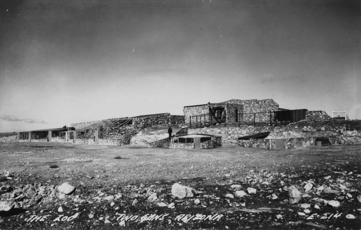 AZ040320.jpg