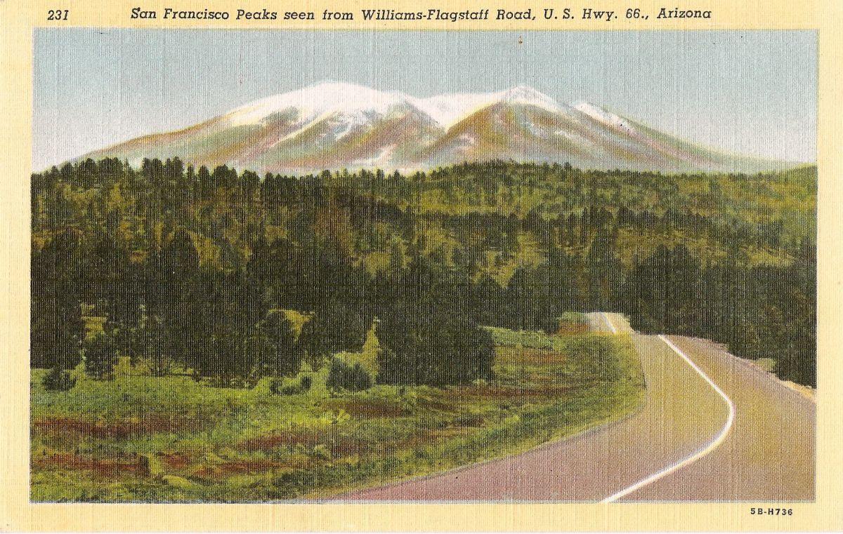 AZ056800.jpg