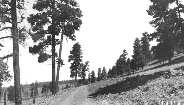 AZ057160.jpg