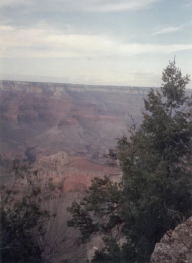 AZ058400.jpg