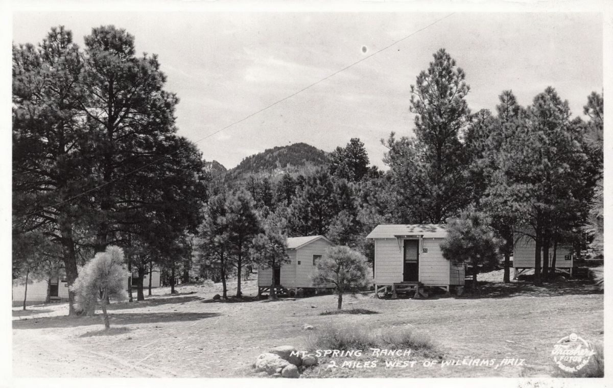 AZ067400.jpg