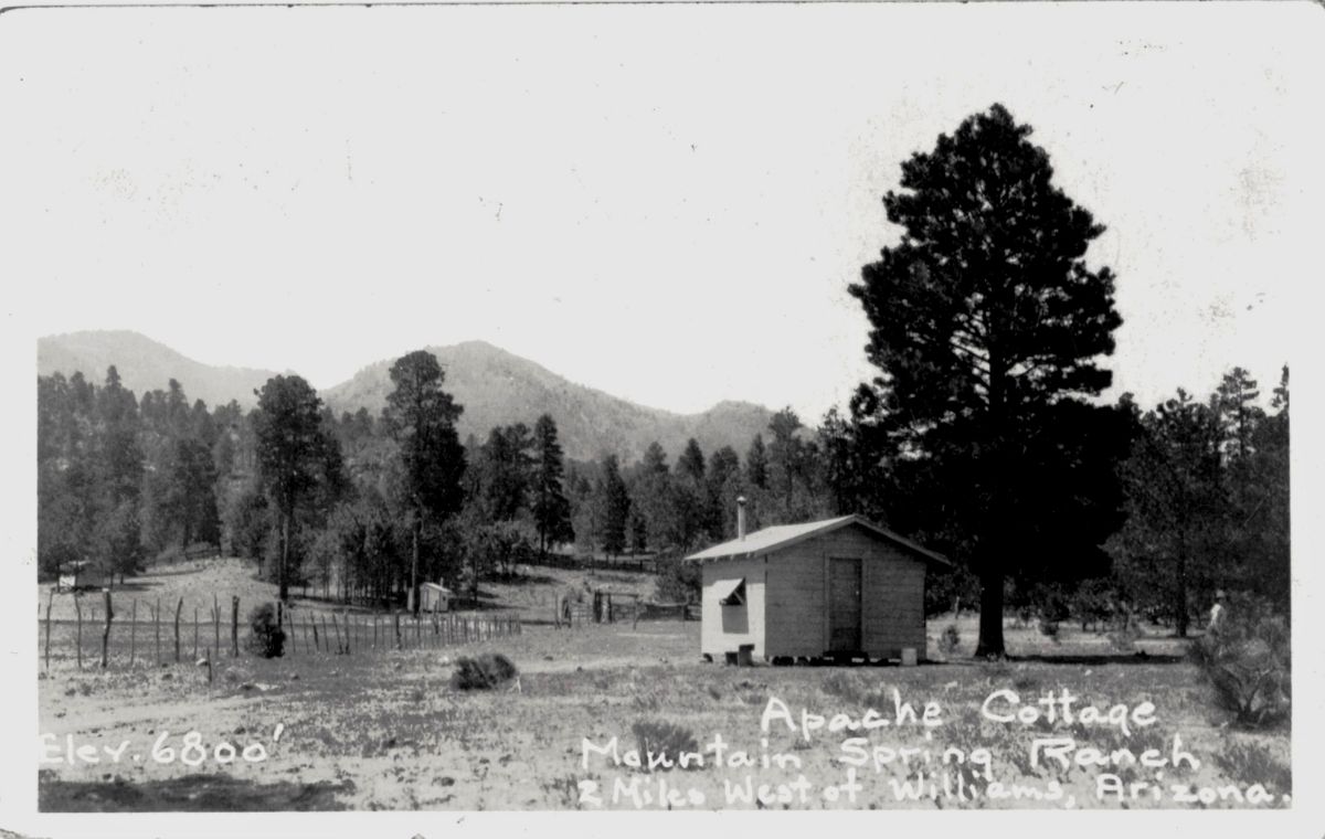 AZ067415.jpg