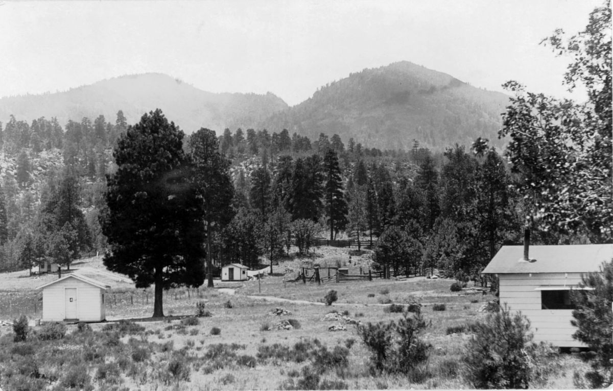 AZ067420.jpg