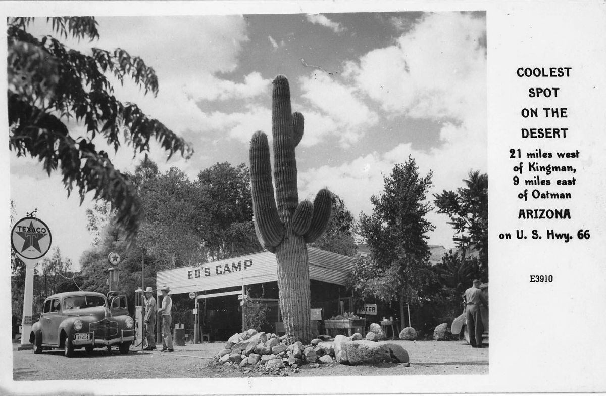 AZ088770.jpg