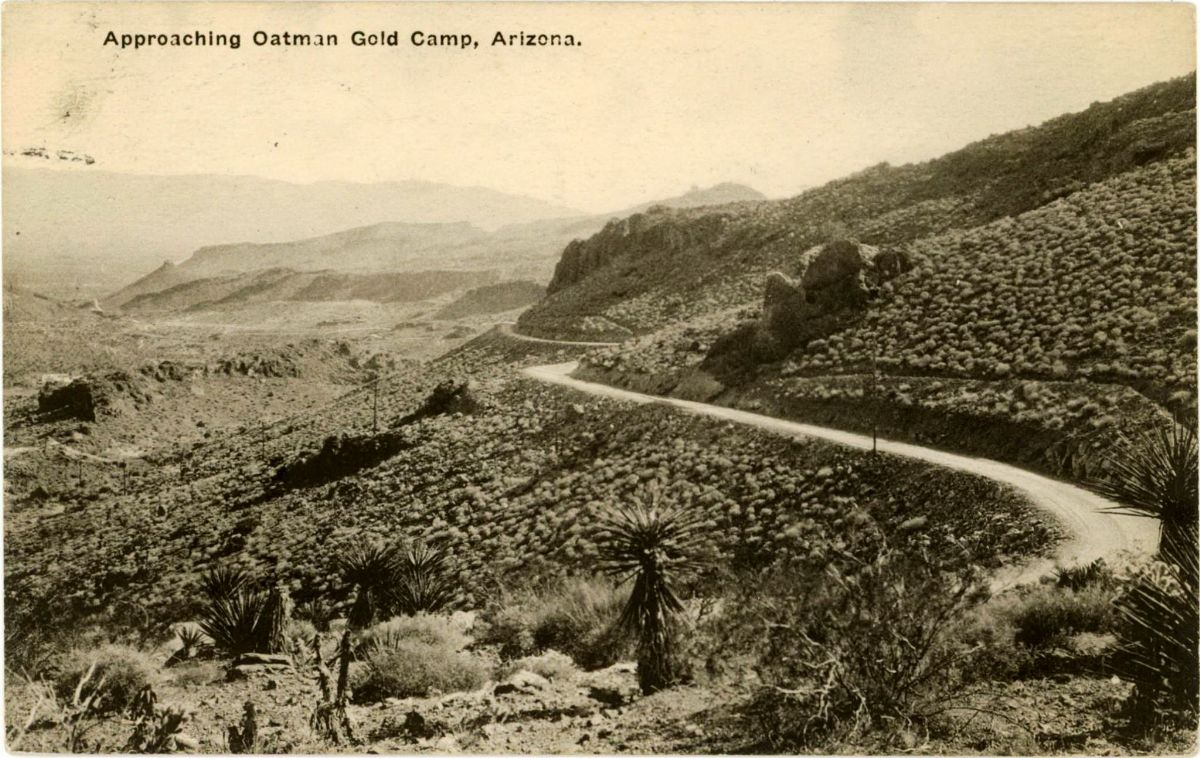AZ090165.jpg