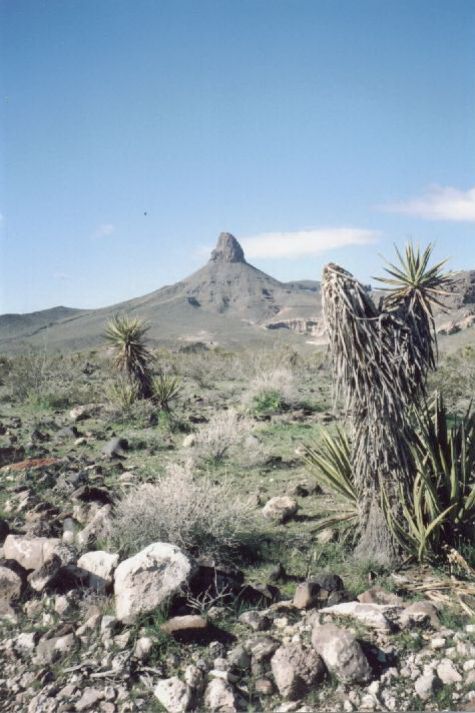 AZ093080.jpg