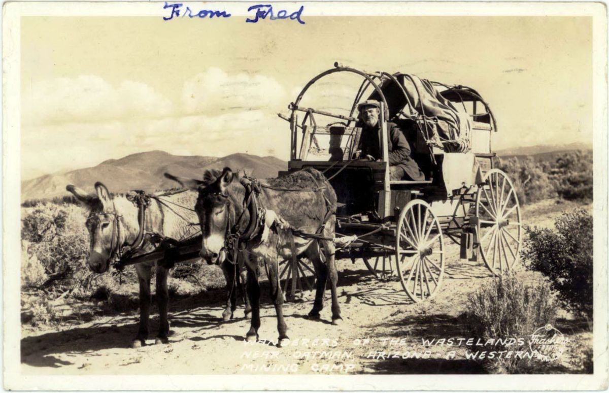 AZ094650.jpg