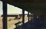 AZ006300.jpg