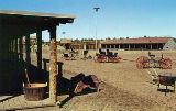 AZ006400.jpg