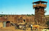 AZ006500.jpg