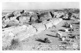 AZ013400.jpg