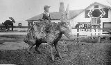 AZ026240.jpg