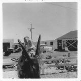 AZ026400.jpg