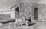 AZ039640.jpg