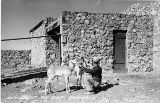 AZ039965.jpg