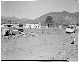 AZ041720.jpg