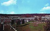 AZ055400.jpg