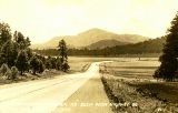 AZ058418.jpg