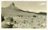 AZ089210.jpg