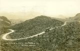 AZ089980.jpg