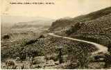 AZ090165.jpg