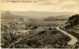 AZ090175.jpg