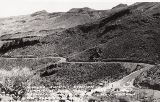AZ090355.jpg