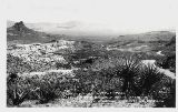 AZ092720.jpg