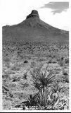 AZ092800.jpg