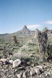 AZ093080.jpg