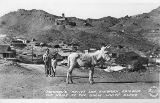 AZ094720.jpg