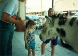 AZ095320.jpg