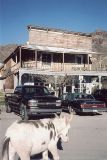 AZ095480.jpg
