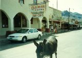 AZ095640.jpg