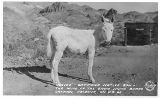 AZ095960.jpg