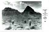 AZ096640.jpg
