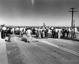 AZ096880.jpg