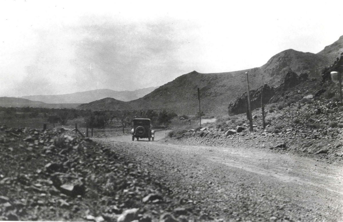 CAA48790.jpg