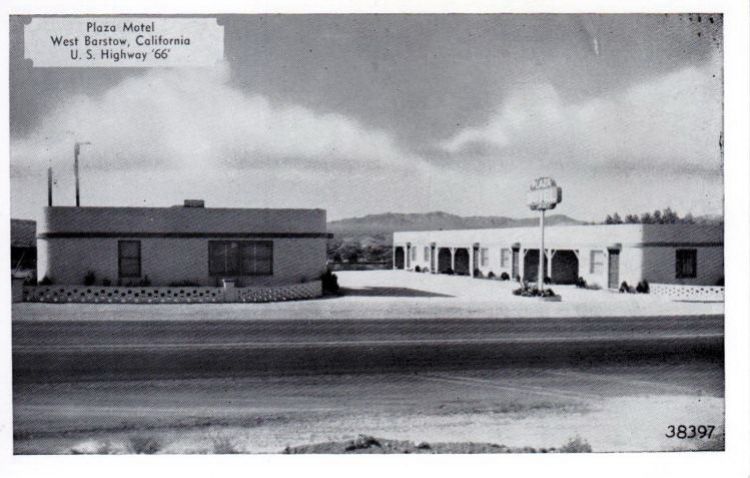 CAA87250.jpg