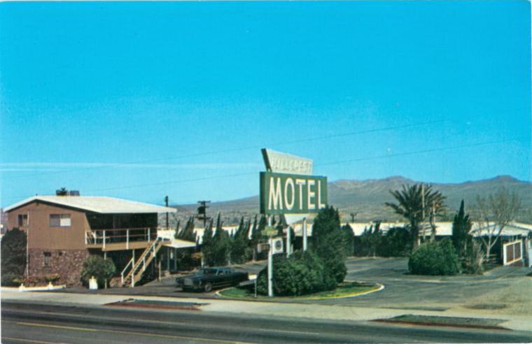 CAA88750.jpg